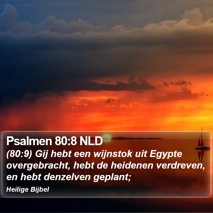 Psalmen 80:8 NLD Bible Study