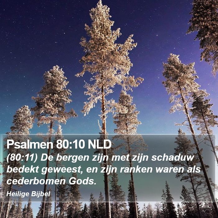 Psalmen 80:10 NLD Bible Study