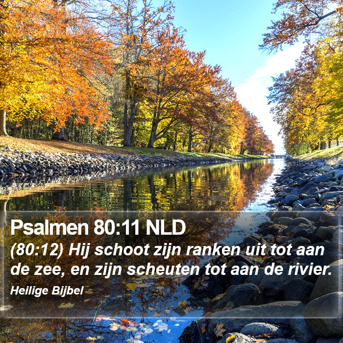 Psalmen 80:11 NLD Bible Study