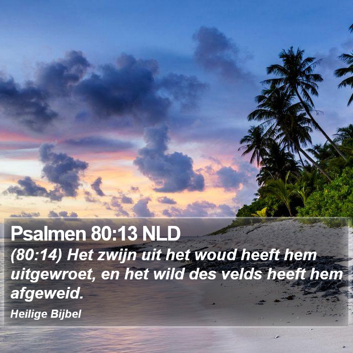Psalmen 80:13 NLD Bible Study