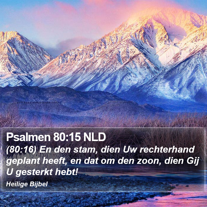 Psalmen 80:15 NLD Bible Study