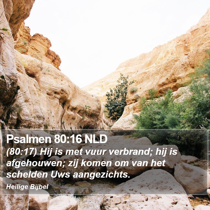 Psalmen 80:16 NLD Bible Study