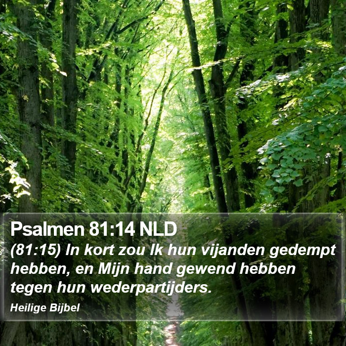 Psalmen 81:14 NLD Bible Study