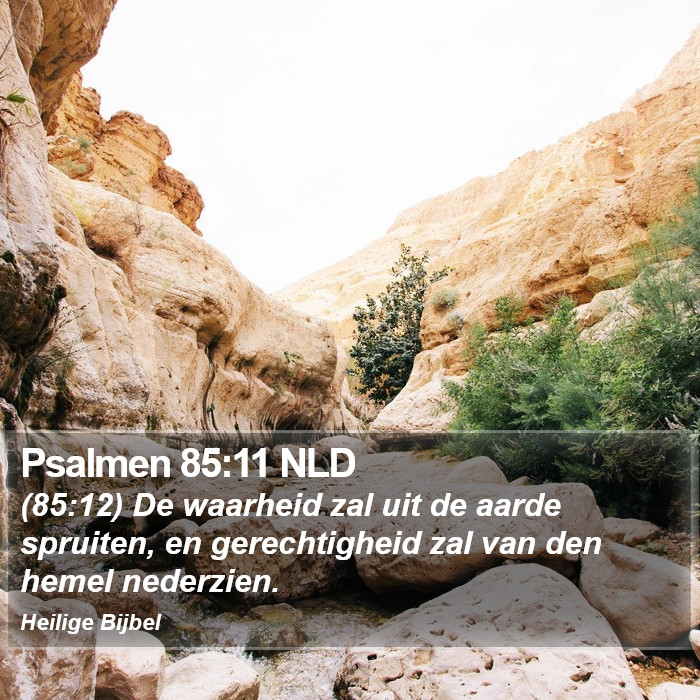 Psalmen 85:11 NLD Bible Study