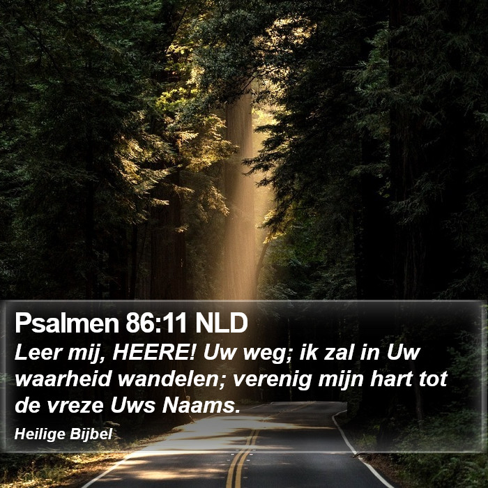 Psalmen 86:11 NLD Bible Study