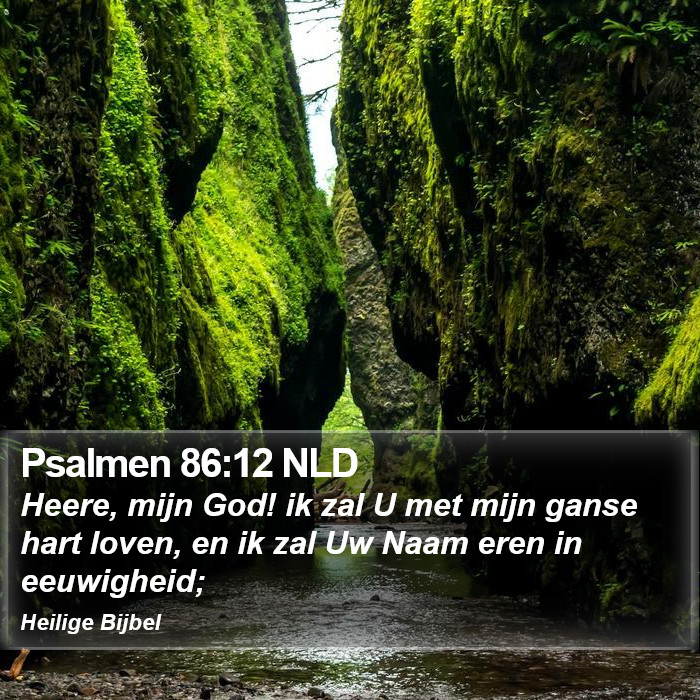 Psalmen 86:12 NLD Bible Study