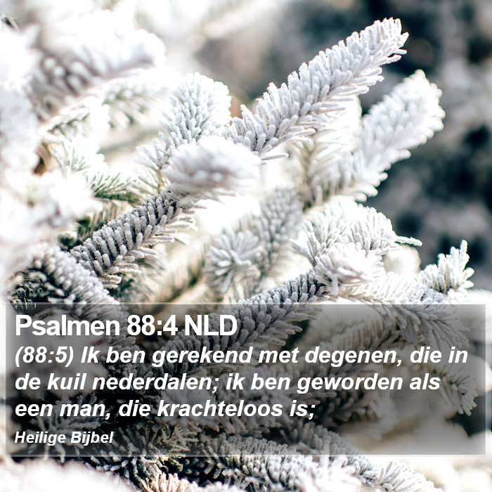 Psalmen 88:4 NLD Bible Study