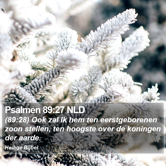 Psalmen 89:27 NLD Bible Study