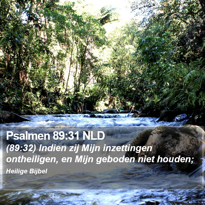 Psalmen 89:31 NLD Bible Study
