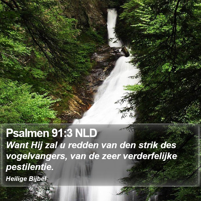 Psalmen 91:3 NLD Bible Study