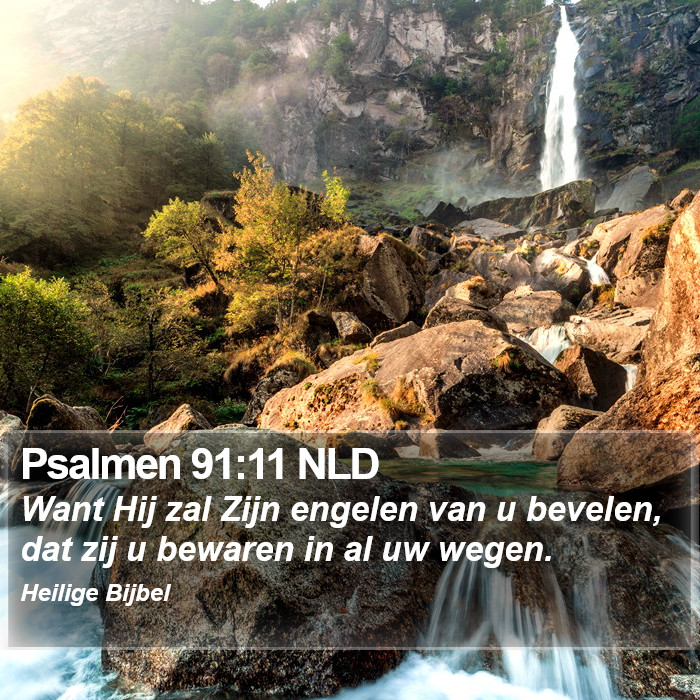 Psalmen 91:11 NLD Bible Study