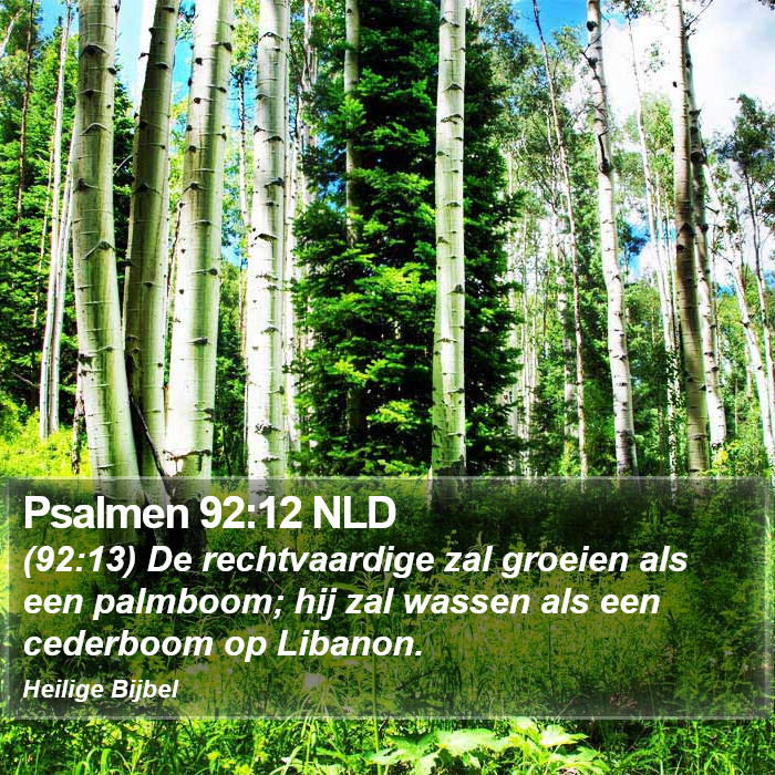 Psalmen 92:12 NLD Bible Study