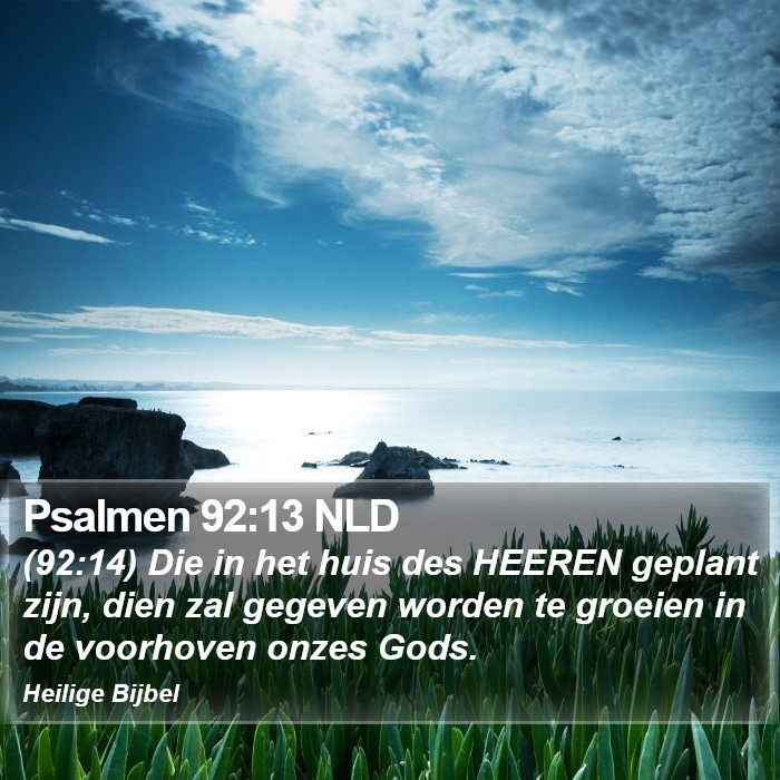 Psalmen 92:13 NLD Bible Study