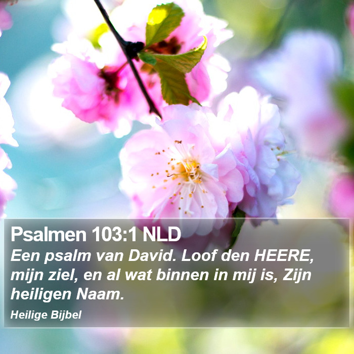 Psalmen 103:1 NLD Bible Study