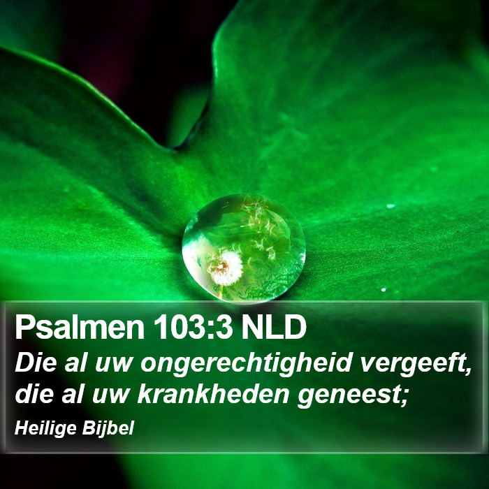 Psalmen 103:3 NLD Bible Study