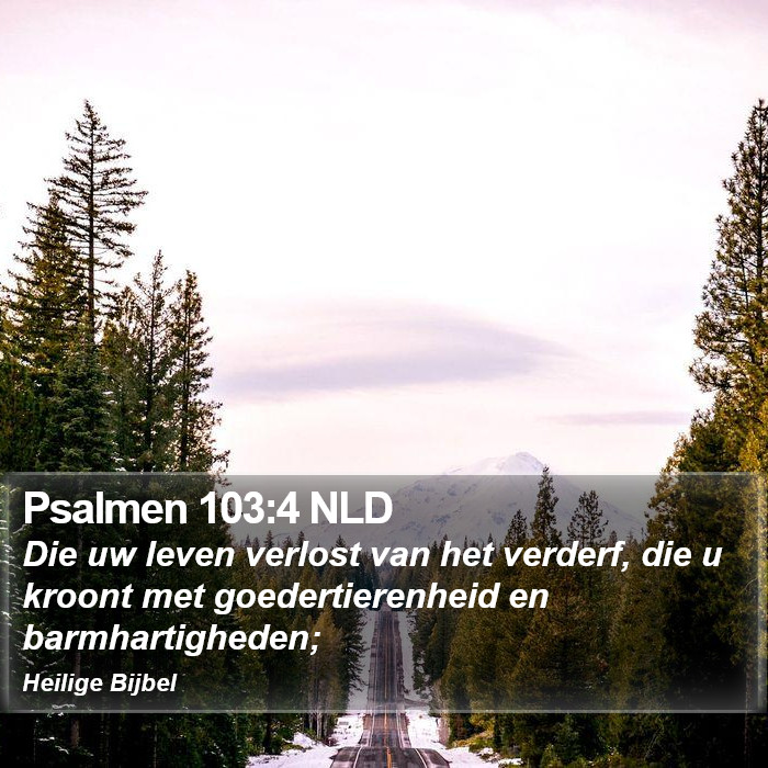 Psalmen 103:4 NLD Bible Study