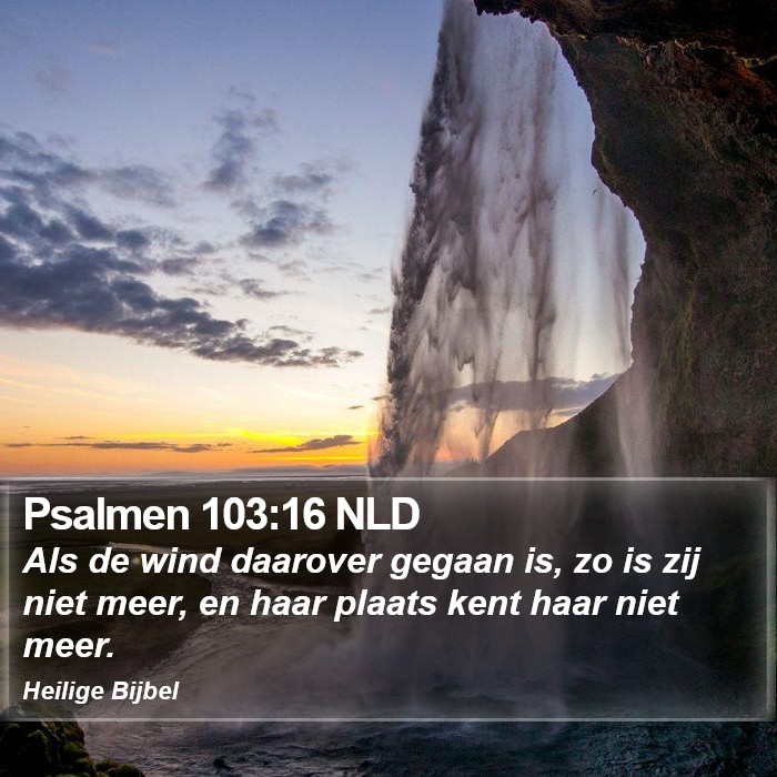 Psalmen 103:16 NLD Bible Study