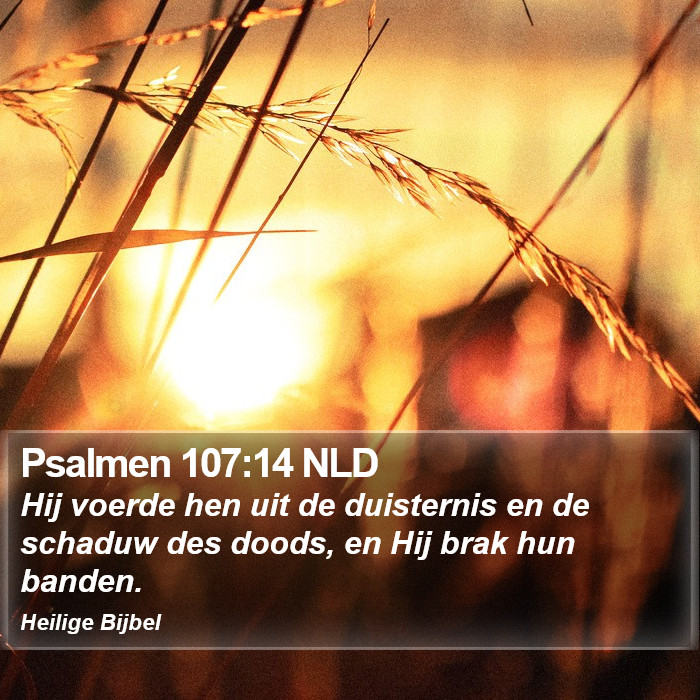 Psalmen 107:14 NLD Bible Study