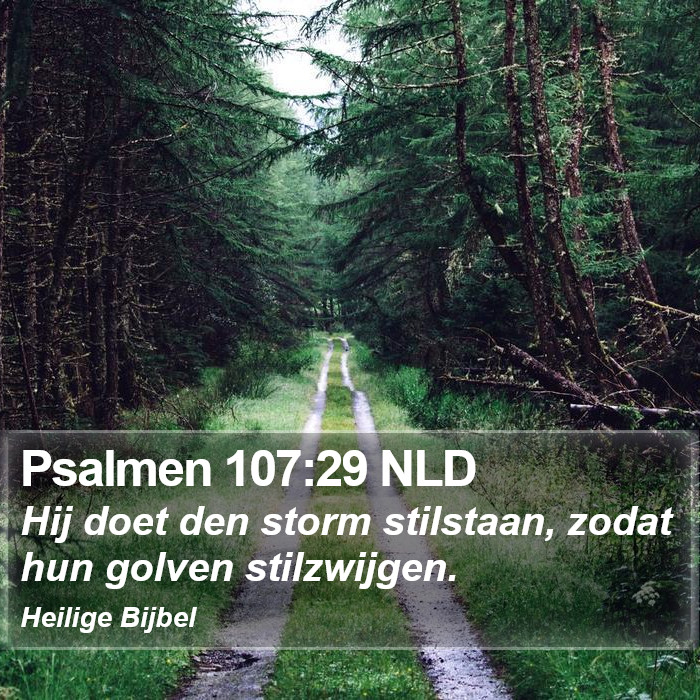Psalmen 107:29 NLD Bible Study