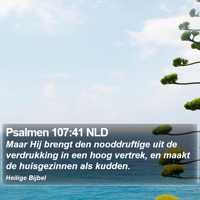 Psalmen 107:41 NLD Bible Study