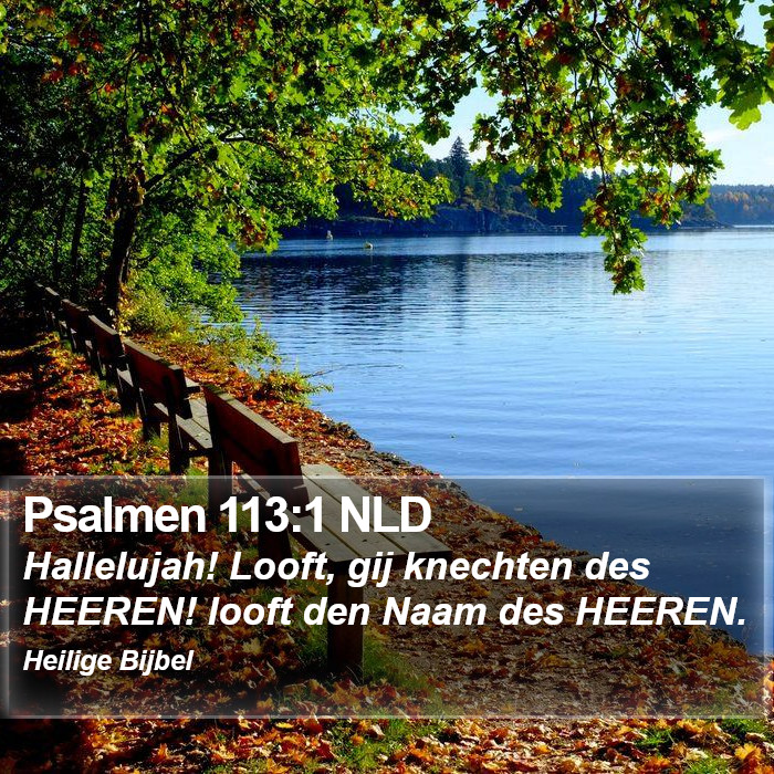 Psalmen 113:1 NLD Bible Study