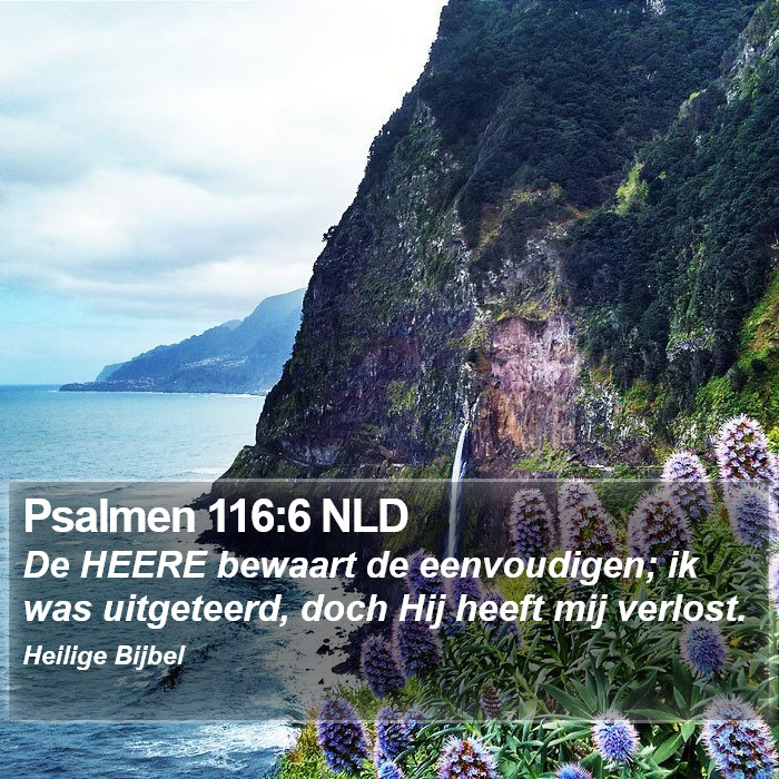 Psalmen 116:6 NLD Bible Study