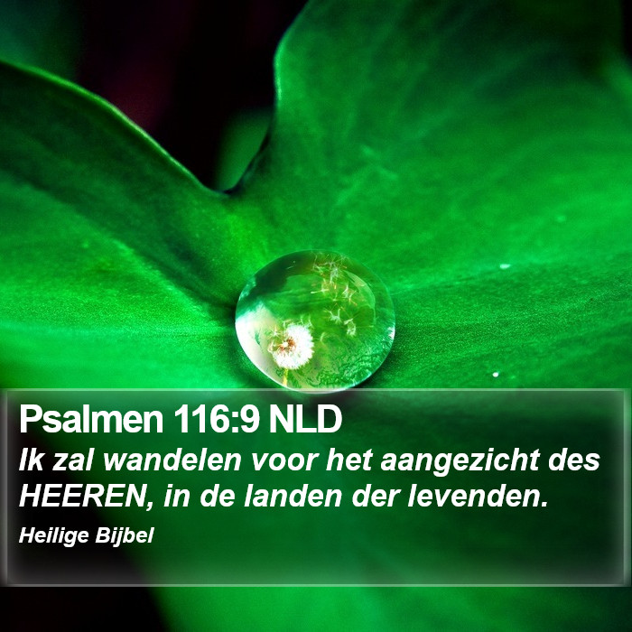 Psalmen 116:9 NLD Bible Study