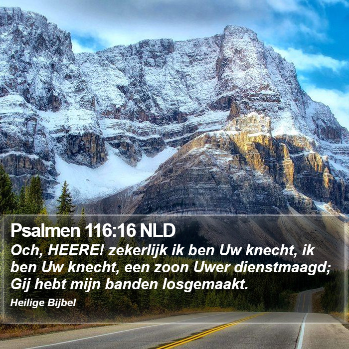 Psalmen 116:16 NLD Bible Study