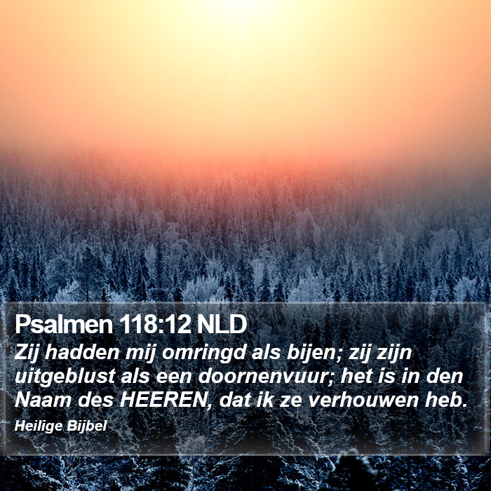 Psalmen 118:12 NLD Bible Study