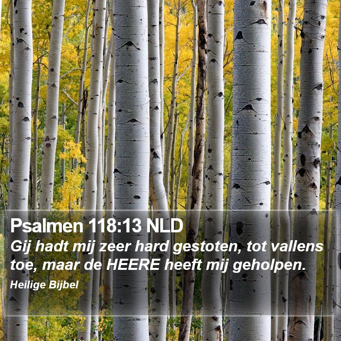 Psalmen 118:13 NLD Bible Study