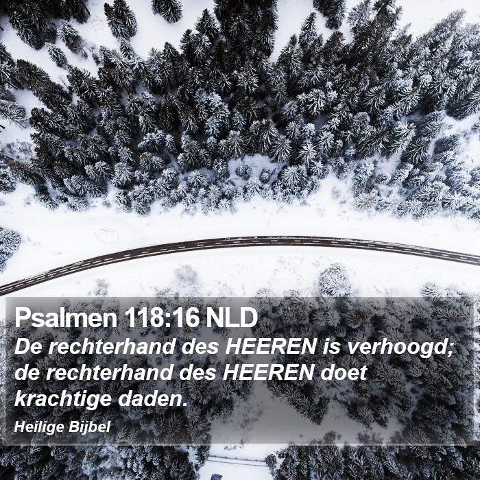 Psalmen 118:16 NLD Bible Study