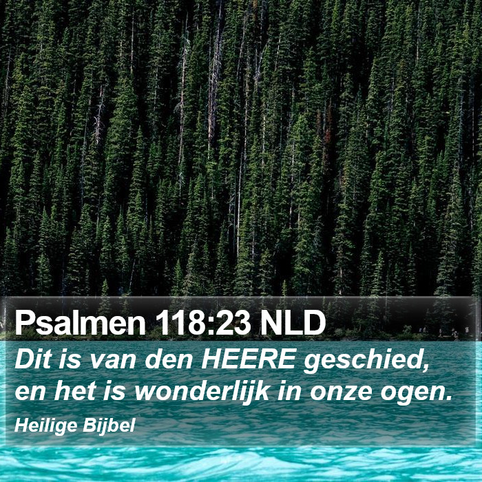 Psalmen 118:23 NLD Bible Study