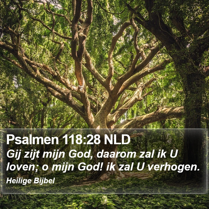 Psalmen 118:28 NLD Bible Study