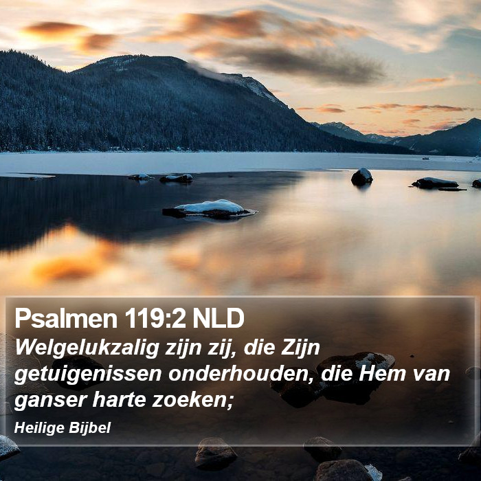 Psalmen 119:2 NLD Bible Study