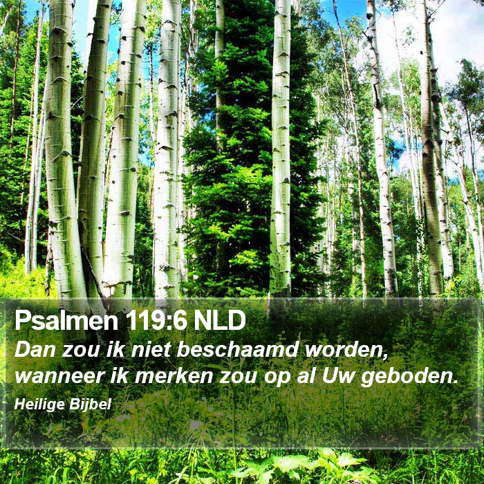 Psalmen 119:6 NLD Bible Study