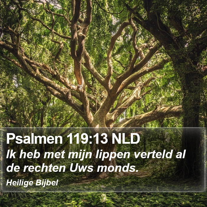 Psalmen 119:13 NLD Bible Study