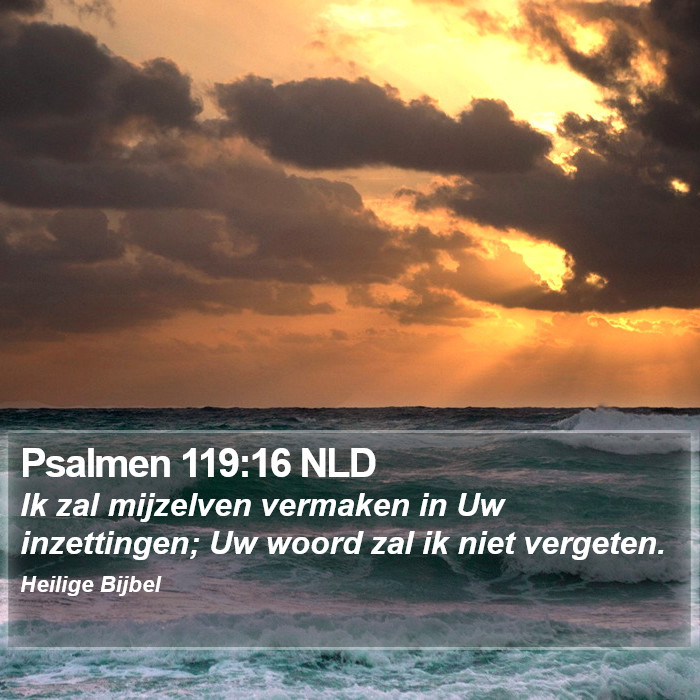 Psalmen 119:16 NLD Bible Study