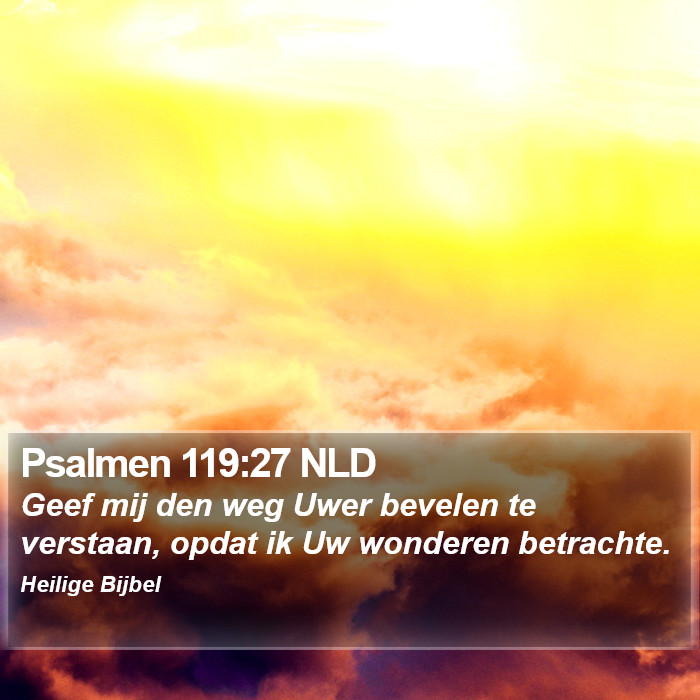 Psalmen 119:27 NLD Bible Study