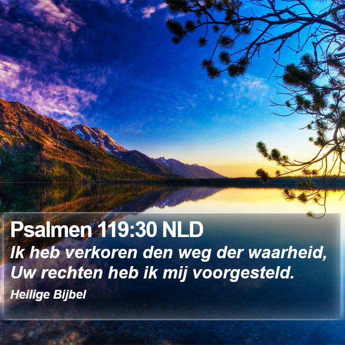 Psalmen 119:30 NLD Bible Study