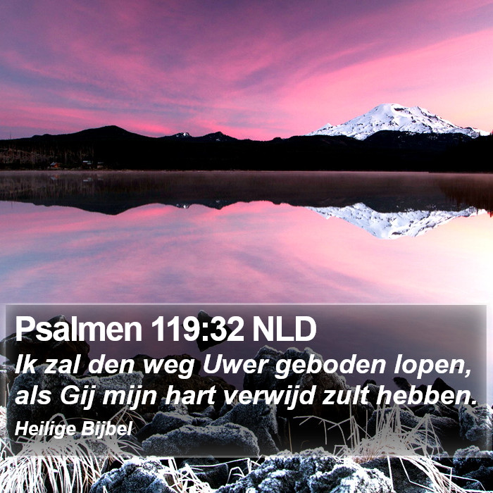 Psalmen 119:32 NLD Bible Study