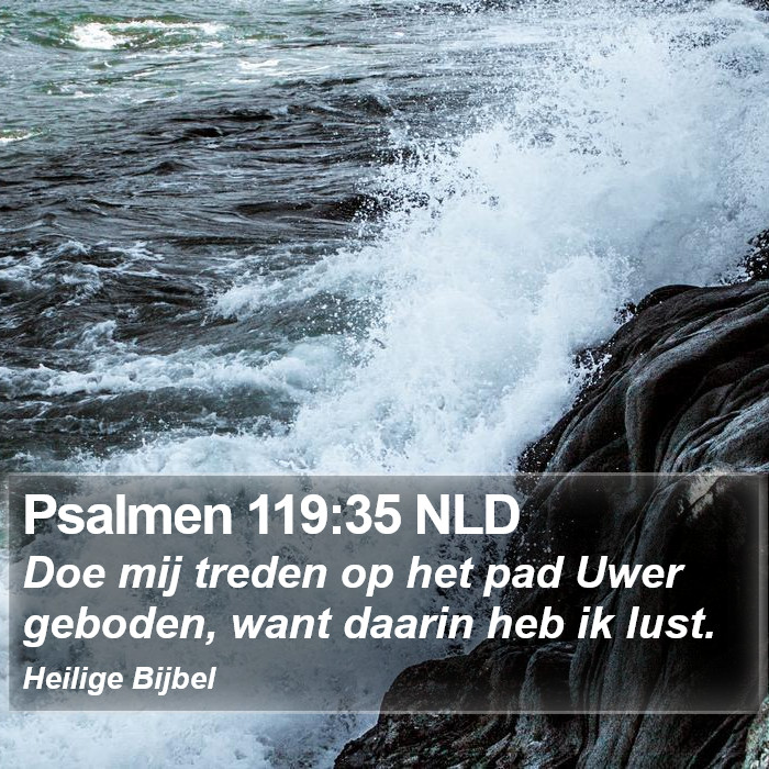 Psalmen 119:35 NLD Bible Study