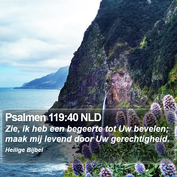 Psalmen 119:40 NLD Bible Study