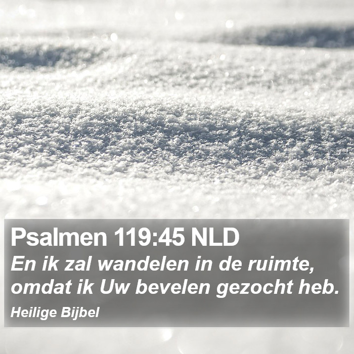 Psalmen 119:45 NLD Bible Study