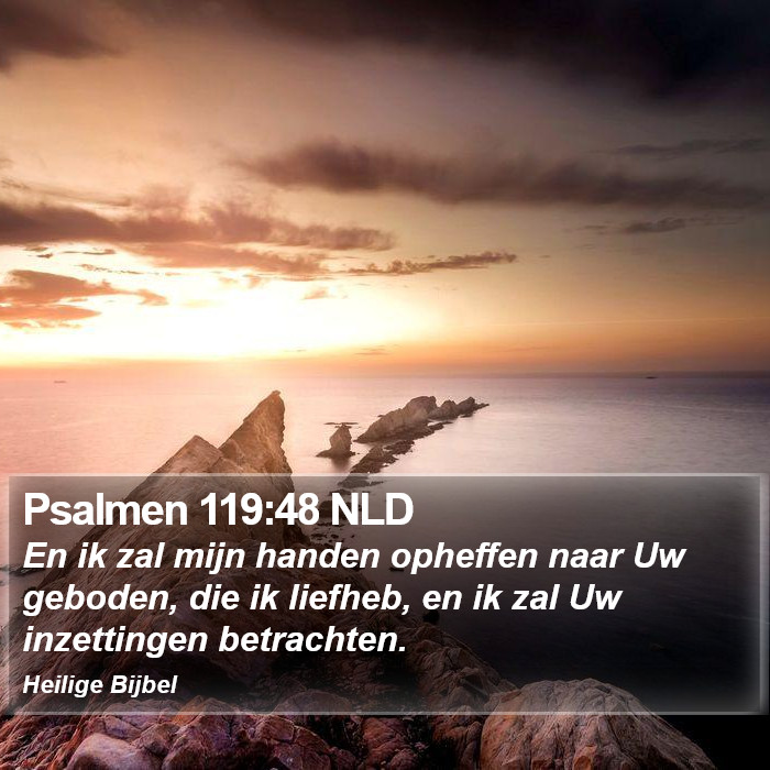 Psalmen 119:48 NLD Bible Study