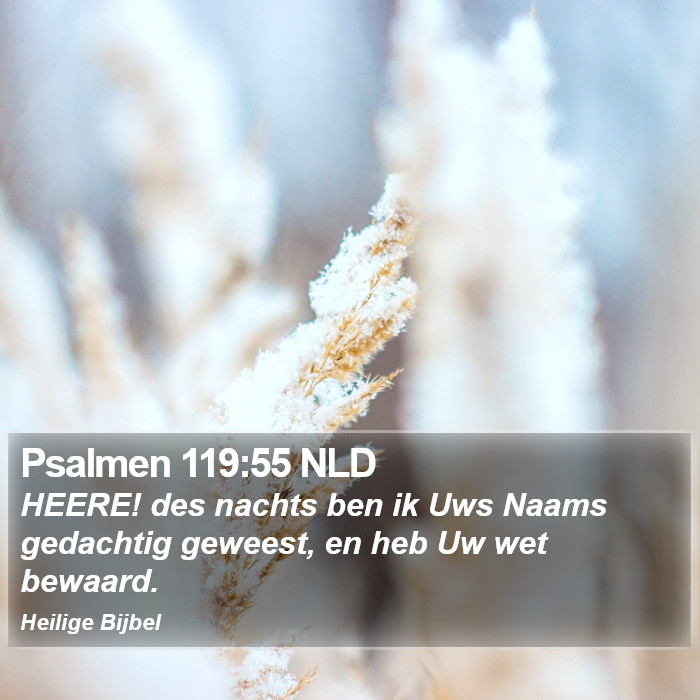 Psalmen 119:55 NLD Bible Study