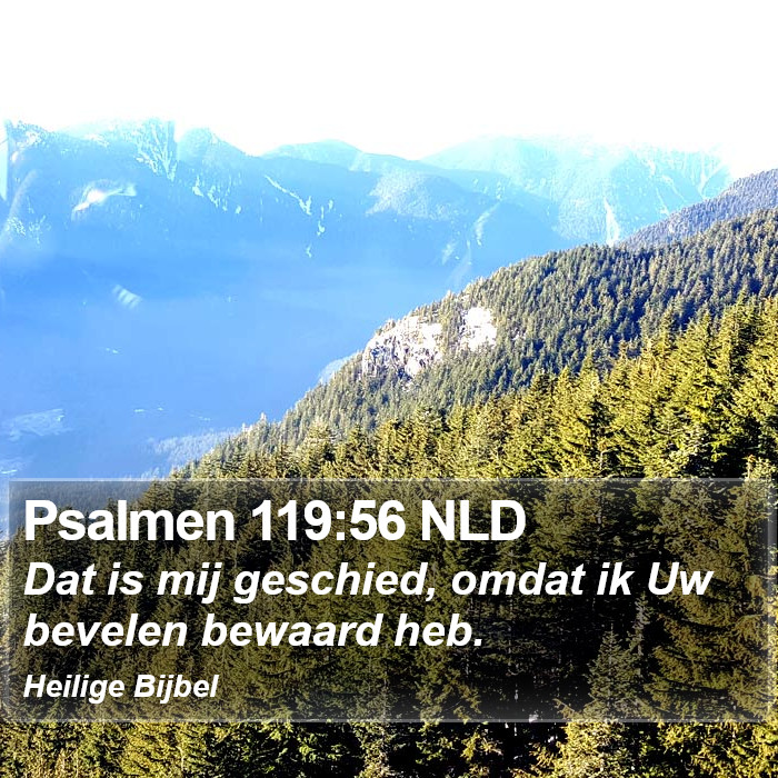 Psalmen 119:56 NLD Bible Study