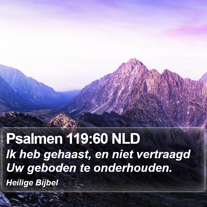 Psalmen 119:60 NLD Bible Study