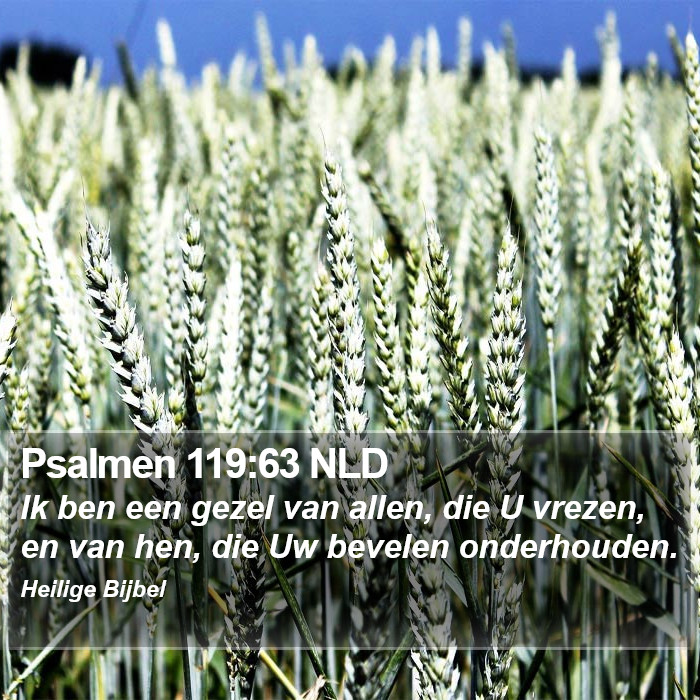 Psalmen 119:63 NLD Bible Study