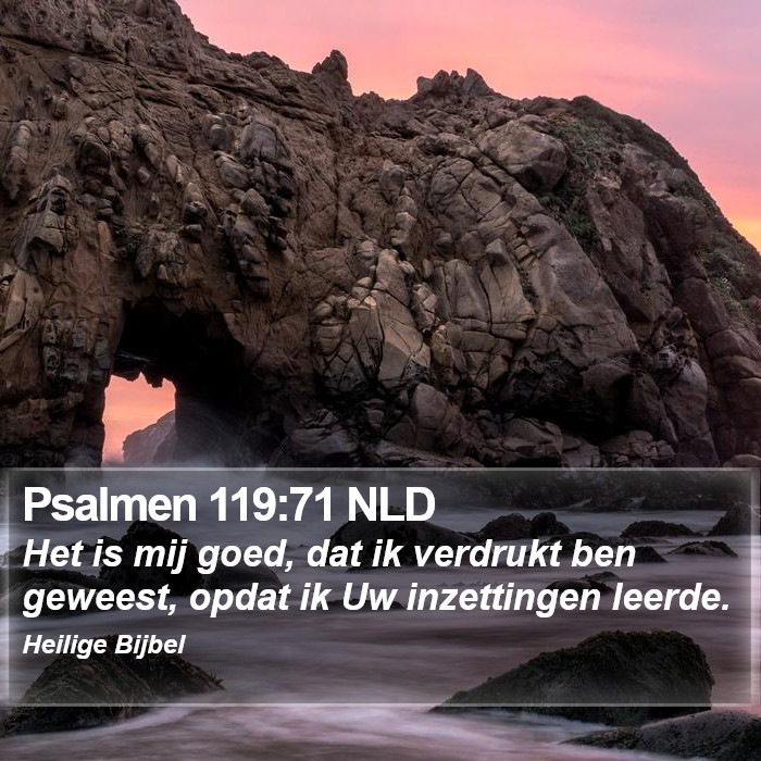 Psalmen 119:71 NLD Bible Study