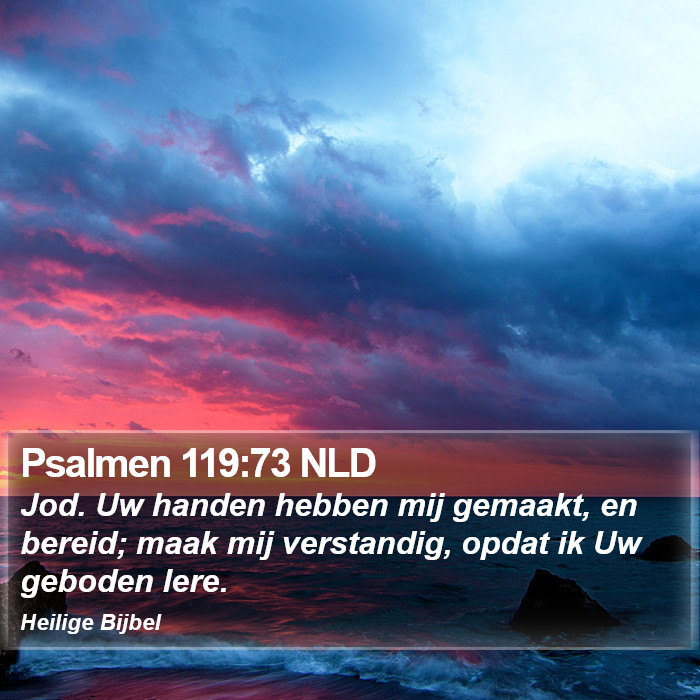 Psalmen 119:73 NLD Bible Study